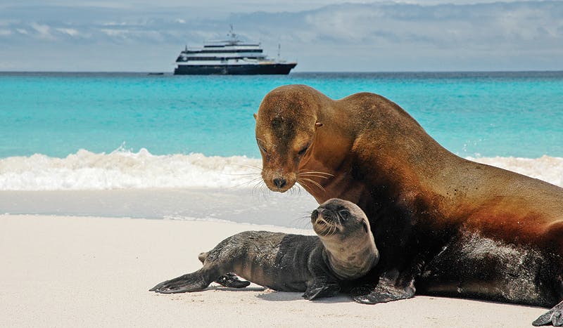 Experience nature's most incredible sites in the Galápagos Islands.