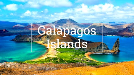 Explore the Galápagos Islands With Celebrity Cruises