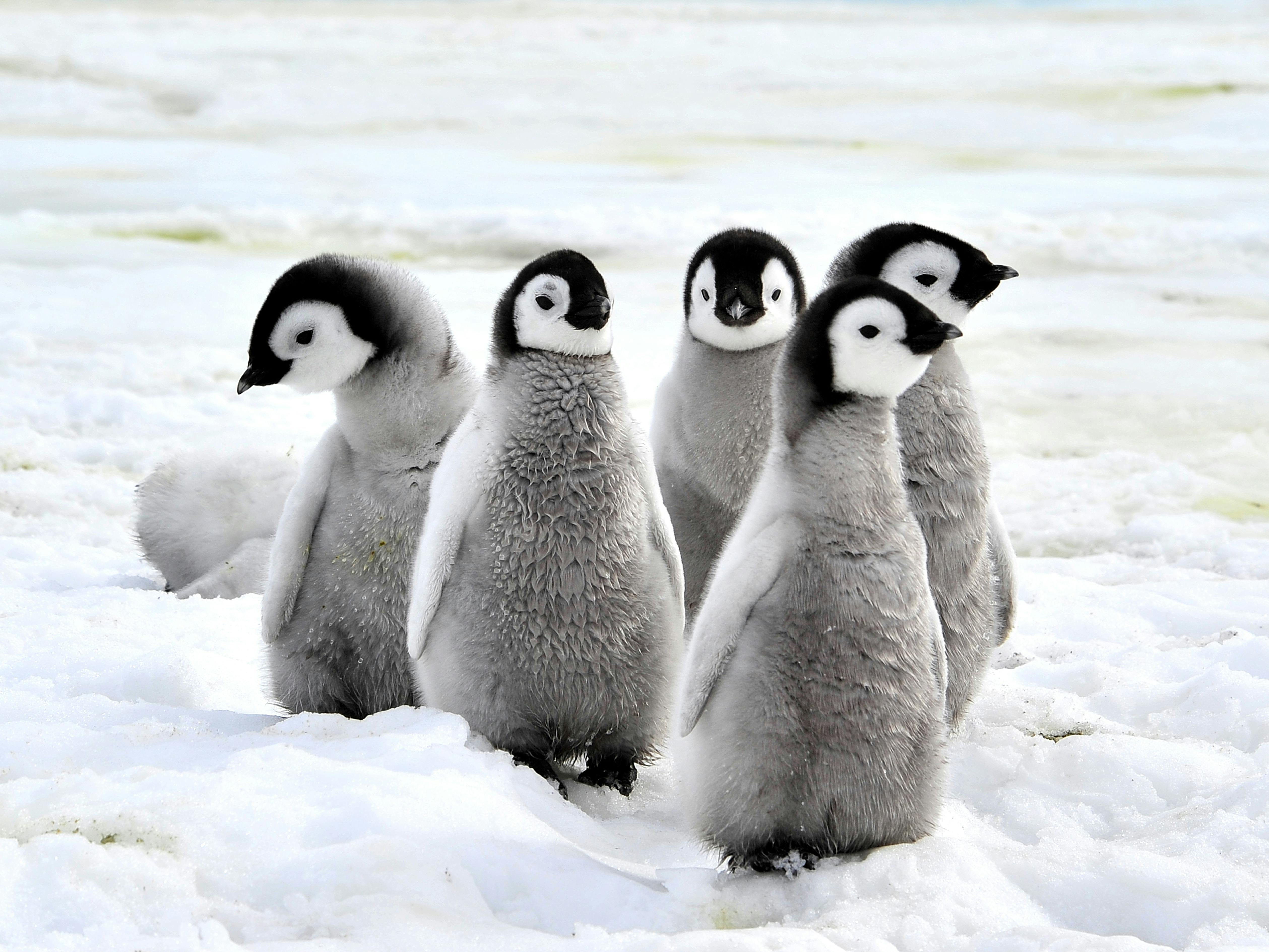 Make new friends on your Silversea cruise