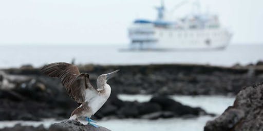 UnCruise Photography Voyages