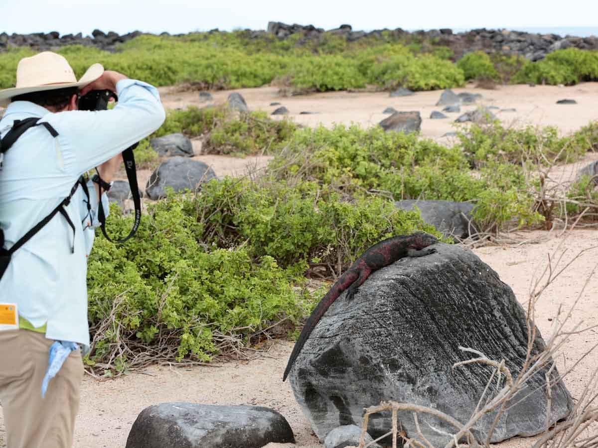 Snapping the perfect picture of native species will never be easier than on an UnCruise Adventure.