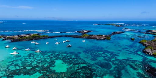 Galápagos Expedition Cruises